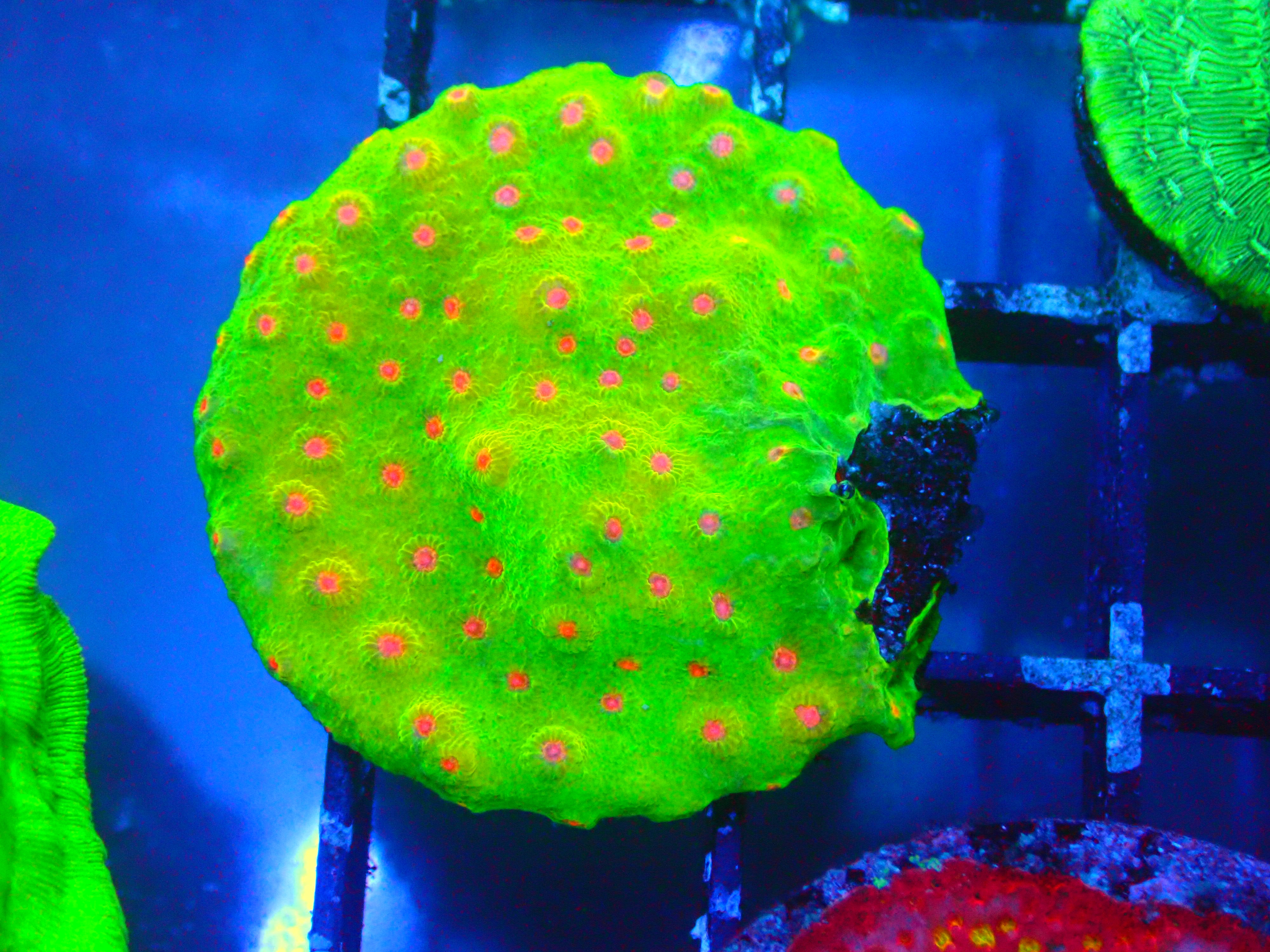 PRIVATE SALE BRIAN P