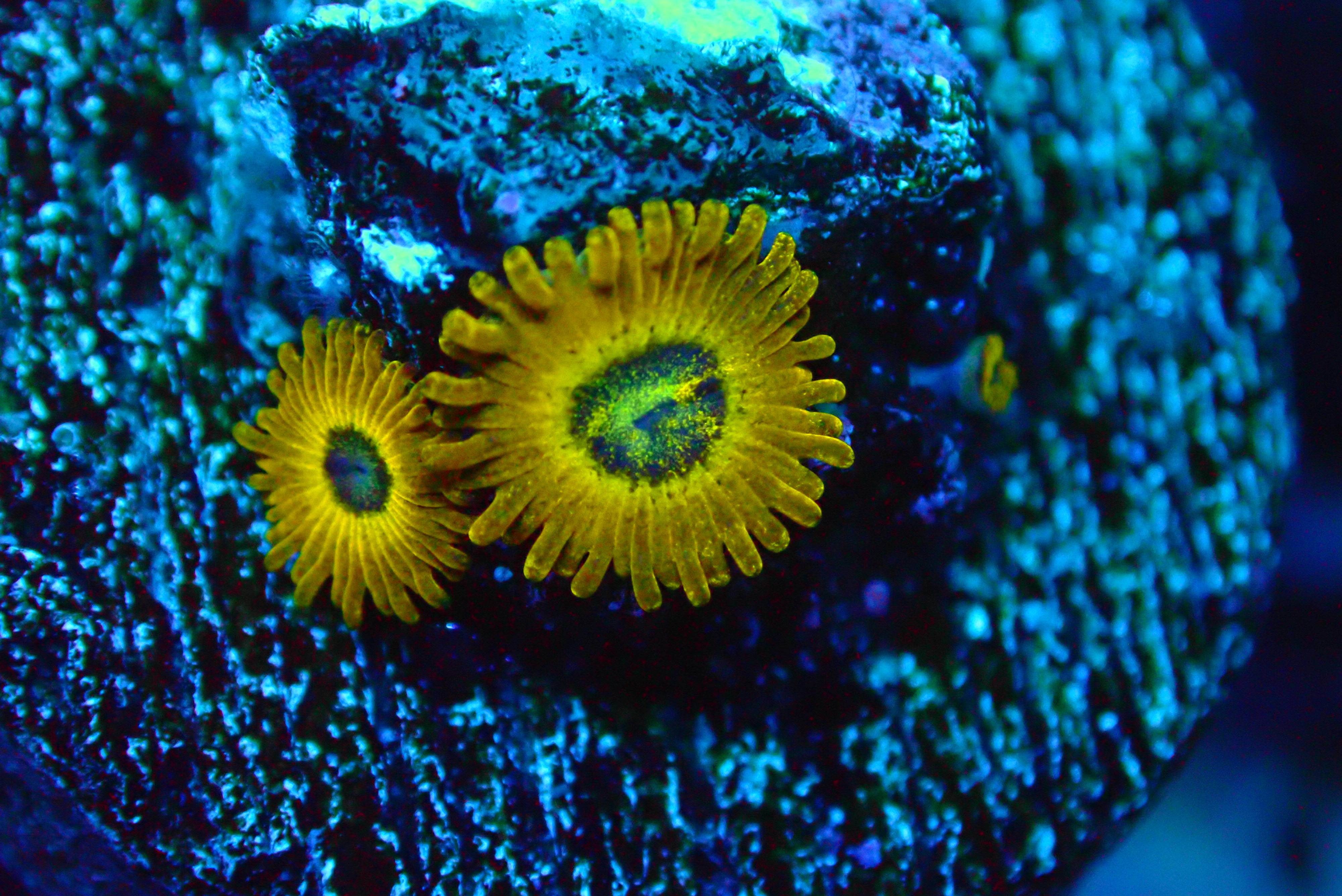 PRIVATE SALE  MIKE J 6-6-25