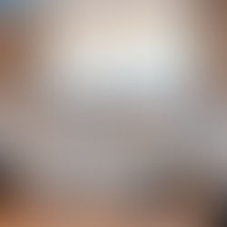 Festival Gastronômico estimula comércio de São Bernardo e reúne 94 estabelecimentos da cidade