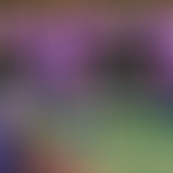 Maratona Kids de São Bernardo movimenta arena montada no Poliesportivo com 5 mil estudantes