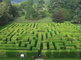 Life as a maze...,