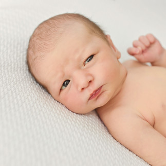 Awake newborn baby lying peacefully on a soft blanket during a newborn photoshoot.