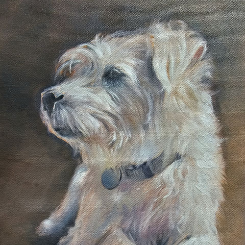 Dexter family dog photo reference for portrait painting