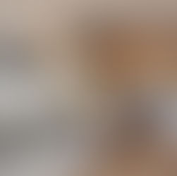 BEČIČI ANATOLIA APARTMENT