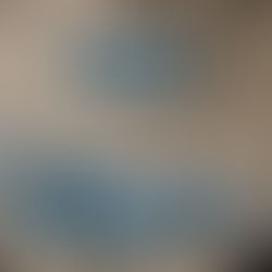 Résultats du vote de l'Assemblée Générale du 21 juin 2024