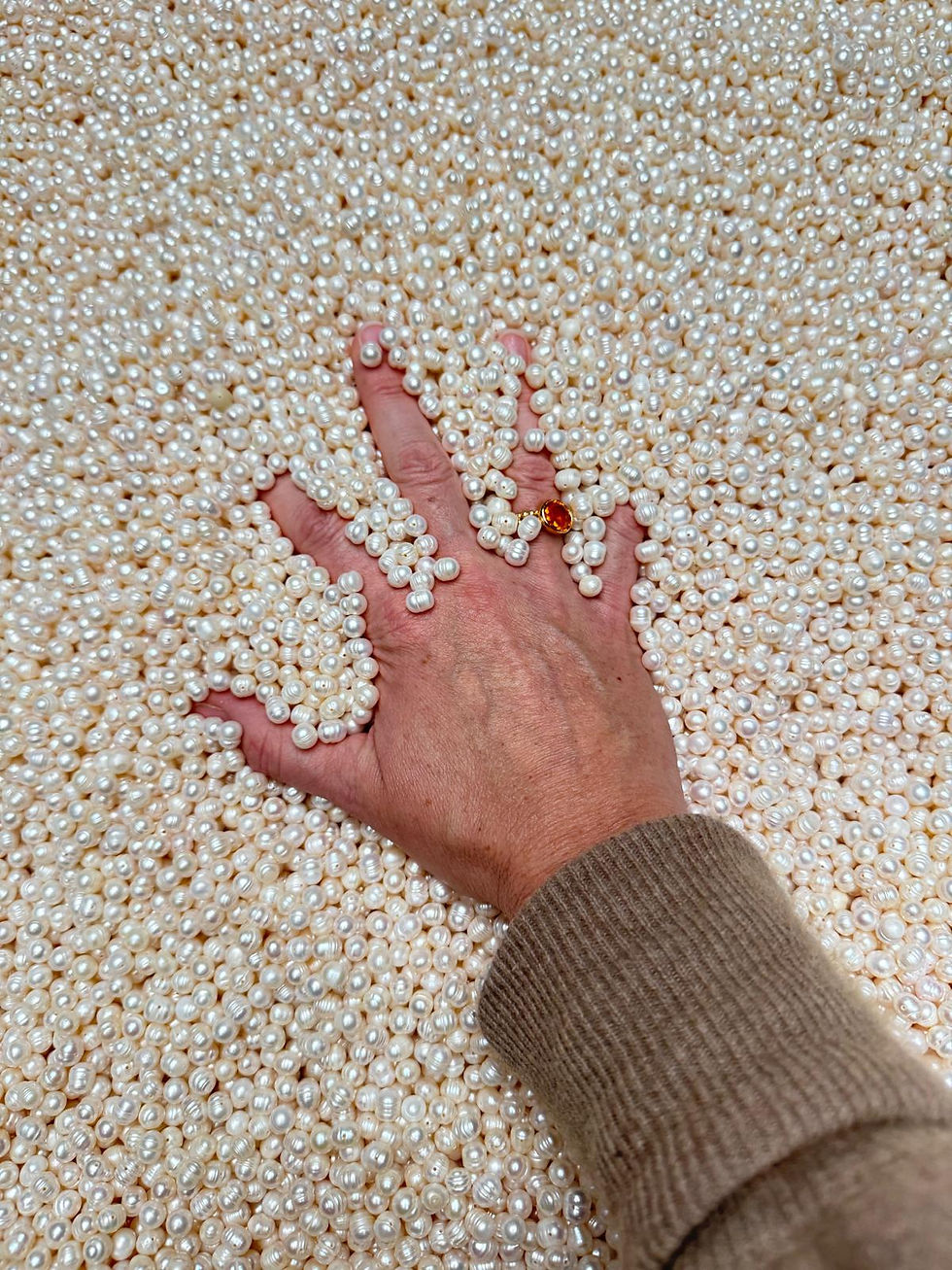 WhatsApp Image 2025-06-16 at 13.15.49.jpeg