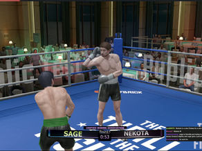 UBA Committee Ruling: Nekota Crowned New Light Heavyweight Champion After Controversial title fight