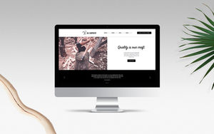 computer displaying website design in windsor