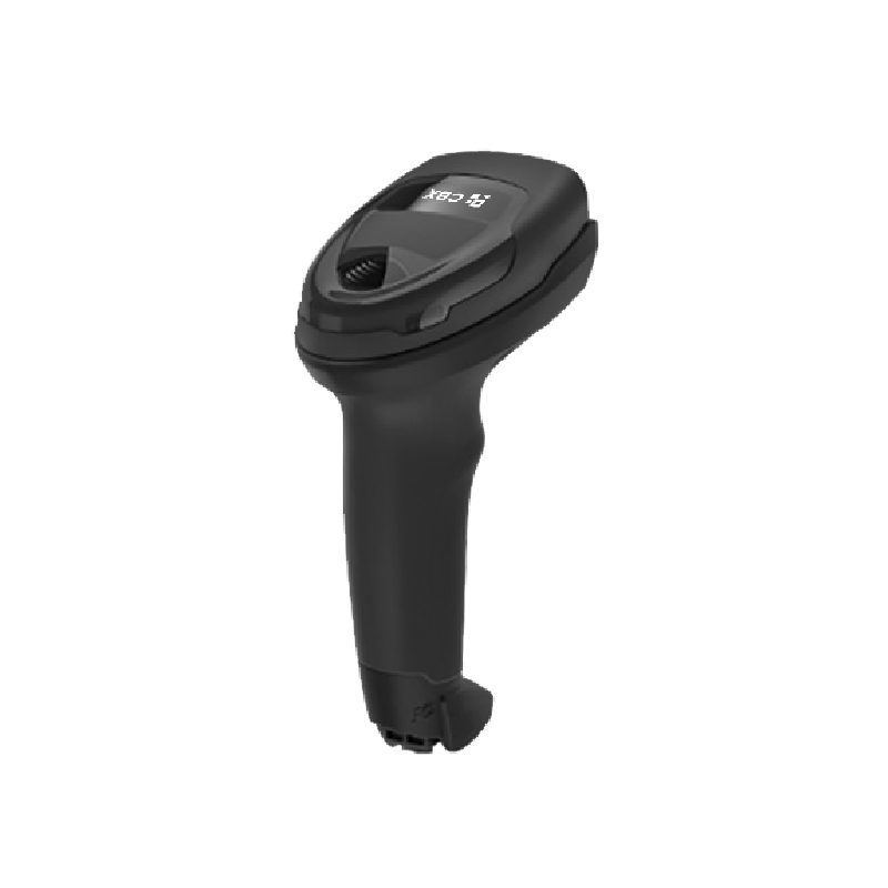 Miniatura: N10
