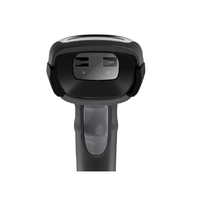 Miniatura: N10