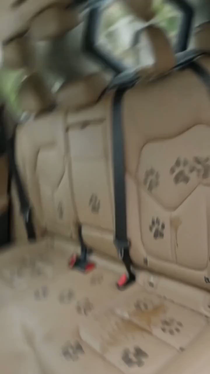 Thumbnail: Dog Car Seat Cover for Back Seat, 100% Waterproof Dog Car Hammock with Visual Me
