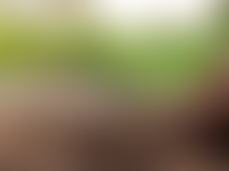 Elevate Your Journey: 4 Essential Tools for Fearless Growth