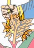 symbolique oiseau carte tarot vincent beckers
