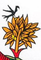 carte tarot etoile oiseau symbolique vincent beckers