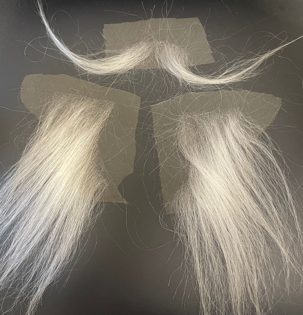 Newsies Tuacahn Amphitheatre 