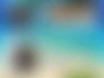 お花畑heads 出演情報