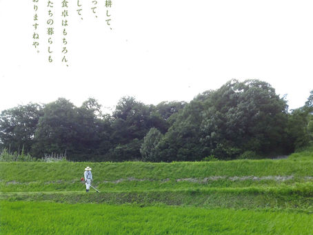 大沢町希少動物図鑑