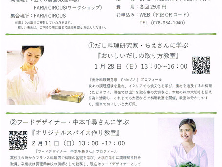 ちぢみほうれん草収穫体験