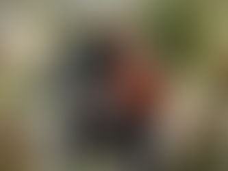 Cricket Season is back!..