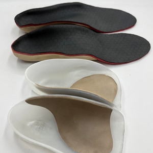 Foot Orthotics (FO)