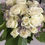 Thumbnail: Homecoming/Prom Bouquet Spray Roses