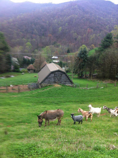 farm.jpg