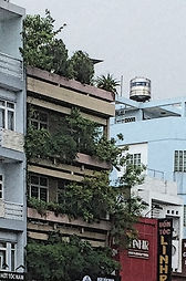 Vietnamese modernist architecture, mid-century, language, heritage, first Vietnamese author, Pham Phu Vinh, vernacular