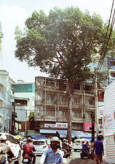 Vietnamese modernist architecture, mid-century, language, heritage, first Vietnamese author, Pham Phu Vinh, vernacular