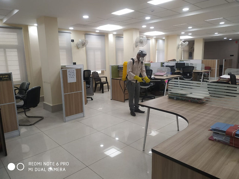 WhatsApp Image 2020-09-23 at 17.25.32