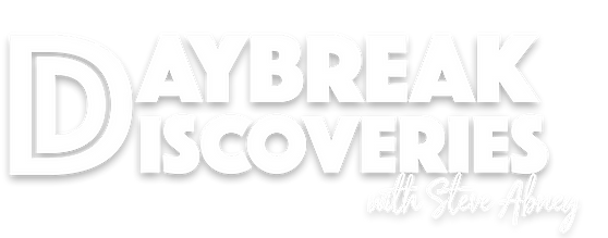 ddlogo_withshadow copy.png