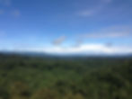 IMG-20220131-WA0010.jpg