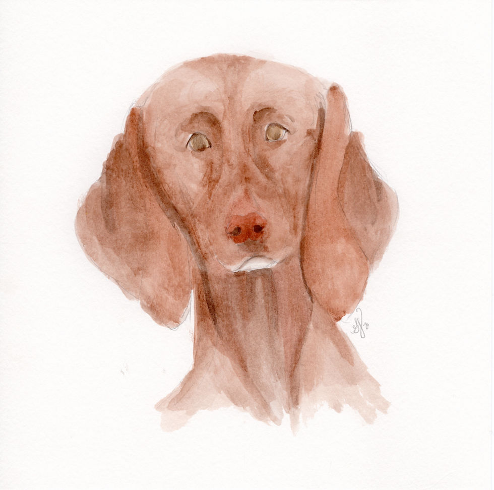 Thumbnail: Custom Pet Portraits