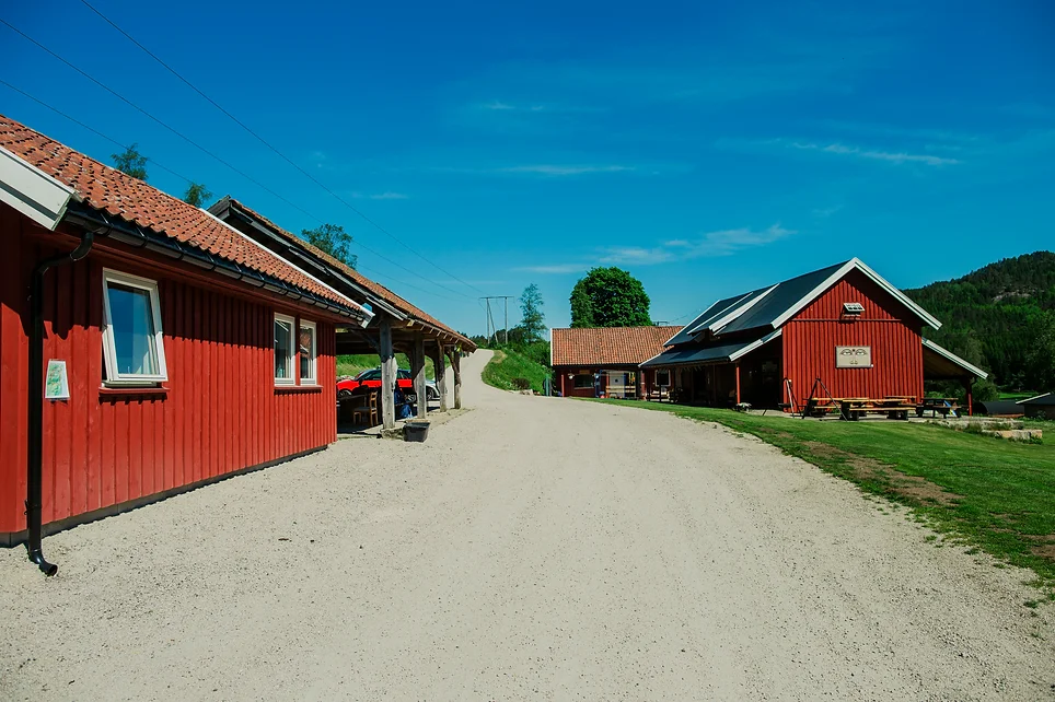 camp