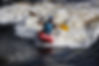 14525009_10154519841728180_2851843567820639398_o.jpeg