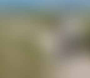 For over 35 years, Noel carried a secret.