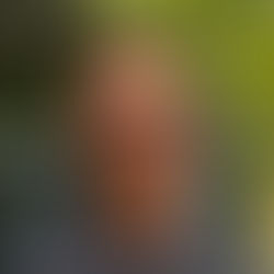 'Predatory' senior doctor avoids jail after sexually assaulting two female members of staff at Welsh hospital