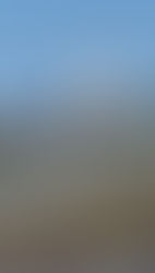 Det finns saker som gör mig sanslöst lyckig.