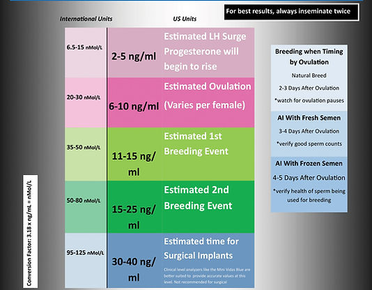 Progesterone testing Fluffy Kingdom