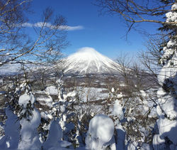 12593899_918303371584278_4562762161560717975_o