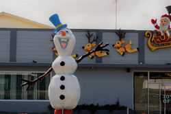 Attachment_1622721094 (7)