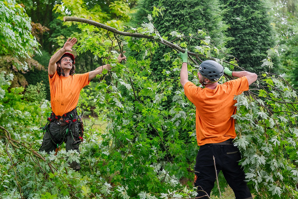 Baumbuben 2025_Fotografin Stefanie Neuhaus_web-57.JPG