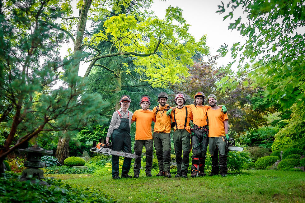 Baumbuben 2025_Fotografin Stefanie Neuhaus_web-47.JPG