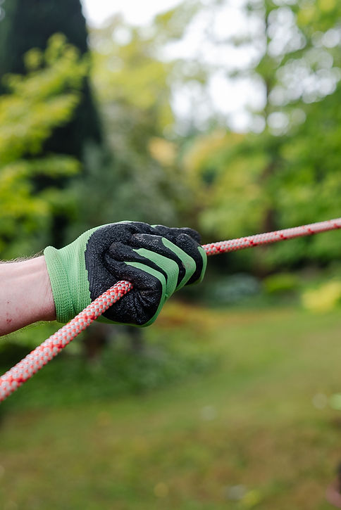 Baumbuben 2025_Fotografin Stefanie Neuhaus_web-24.JPG