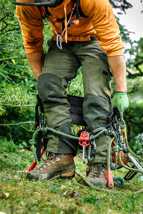 Kopie von Baumbuben 2025_Fotografin Stefanie Neuhaus_web-42_edited.jpg