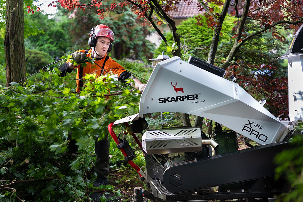 Baumbuben 2025_Fotografin Stefanie Neuhaus_web-60.JPG