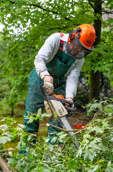 Baumbuben 2025_Fotografin Stefanie Neuhaus_web-7.JPG