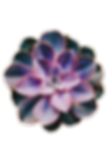 2795056ef582c47a9b974fb46cc89ad6_edited.png