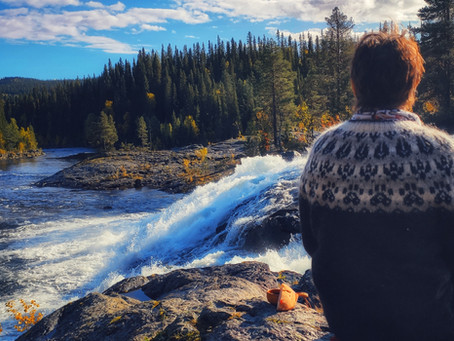 Dimforsen till Litsjönäs