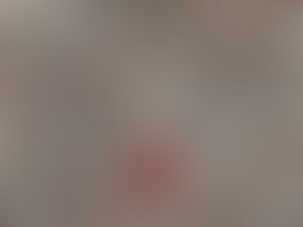 Chapter 48 Cleared & Crowned …dear diary