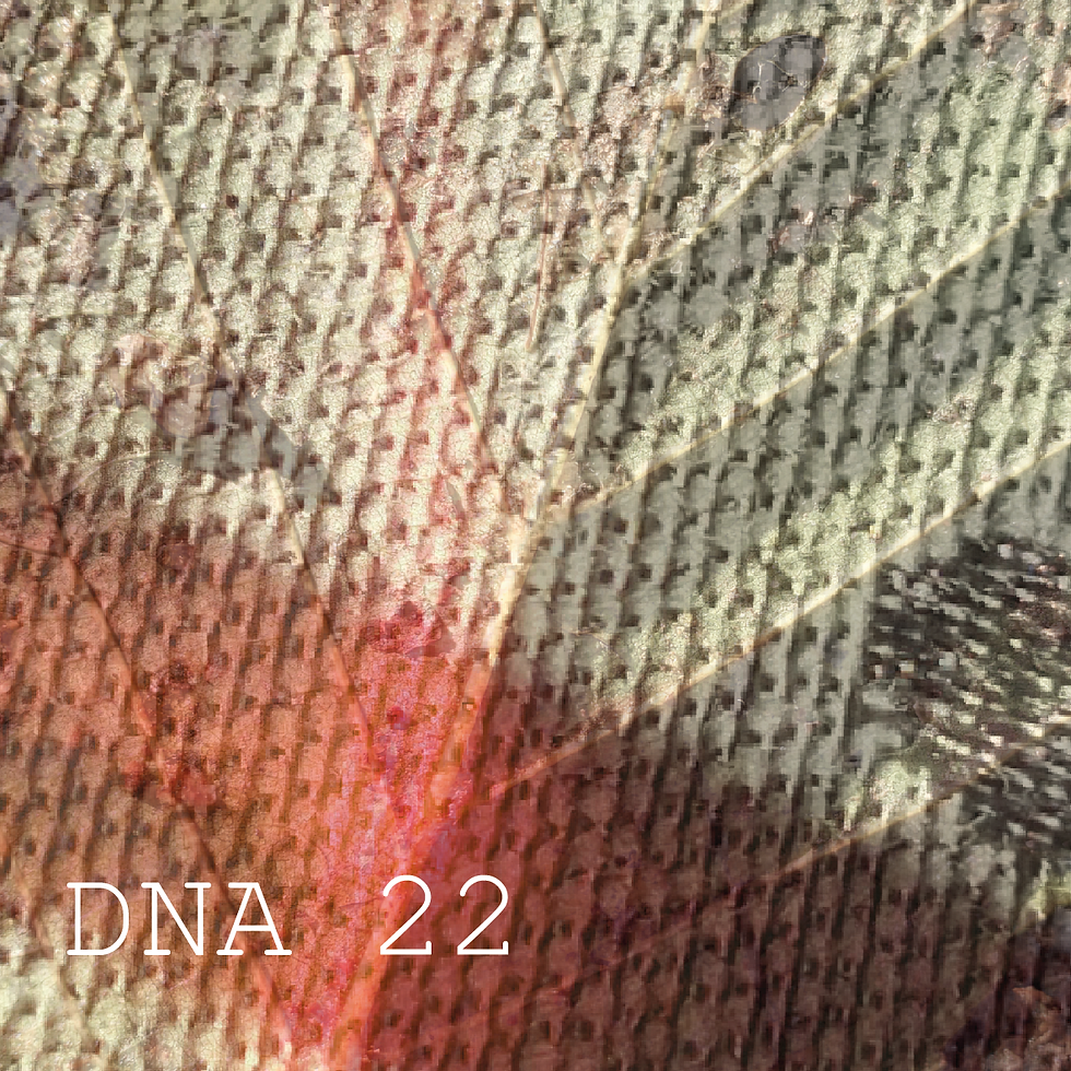 Thumbnail: DNA (Stärke 21-30)